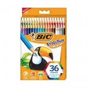 LAPIZ COLOR BIC EVOLUTION X36U