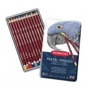 LAPIZ DERWENT PASTEL LATA X12U